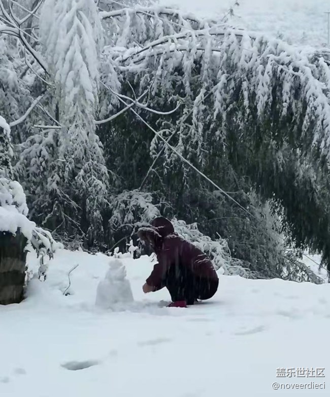 【冬日物语】大雪
