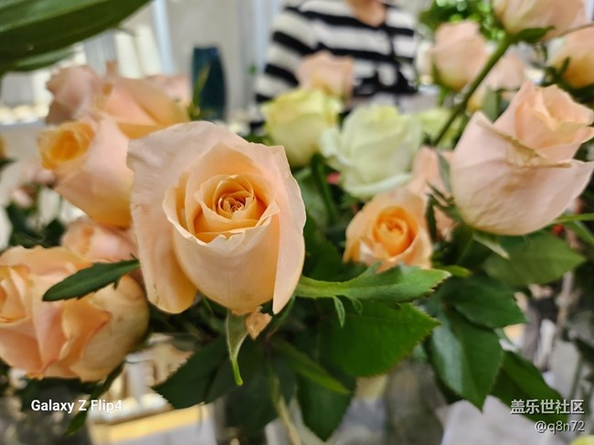 #冬日印象—美麗的花卉