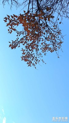 【難忘2023】旅游小計(jì)