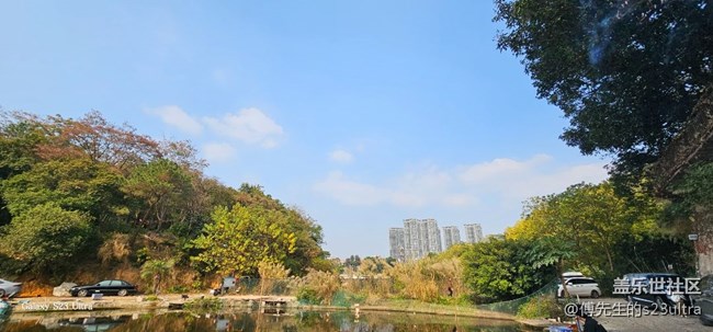 沒事出來一頓咔咔拍