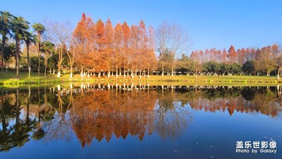 【辭舊迎新】+冬日小景