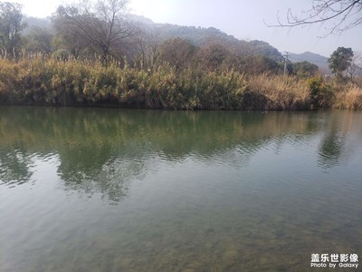 【辭舊迎新】今后越來越好