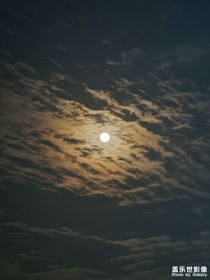 遇見(jiàn)你 從此凜冬散盡 星河長(zhǎng)明