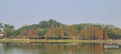 公園一角