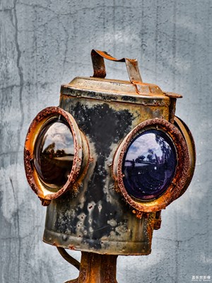 【三星手機攝影作品】長焦近物特寫