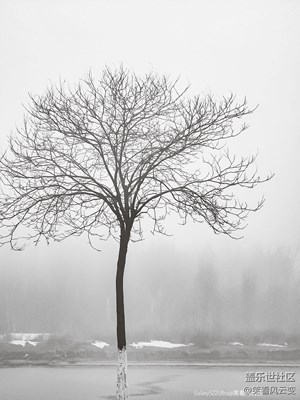 【蓋樂世影像周賽第326期】——浮光掠影