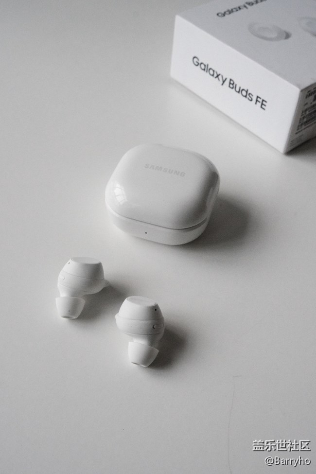 性能小鋼炮 ，三星Galaxy Buds FE值得考慮。圖鑒