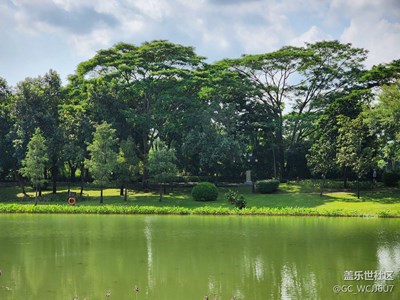 深圳的公園