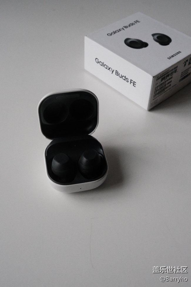 性能小鋼炮 ，三星Galaxy Buds FE值得考慮。圖鑒