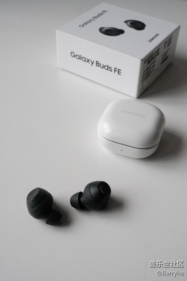 性能小鋼炮 ，三星Galaxy Buds FE值得考慮。圖鑒