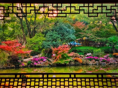 【浮光掠影】+色彩斑斕