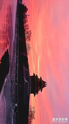 記住一月八日
