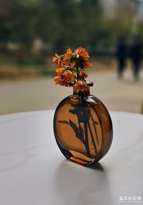 已開獎【蓋樂世影像周賽第327期】——定格身邊的美