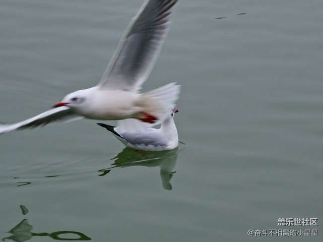 我和海鷗有個約會