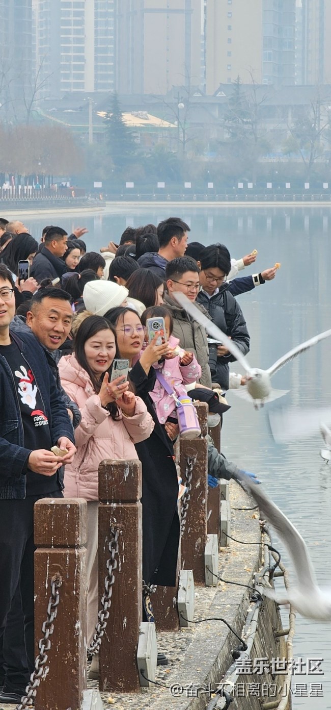 我和海鷗有個約會