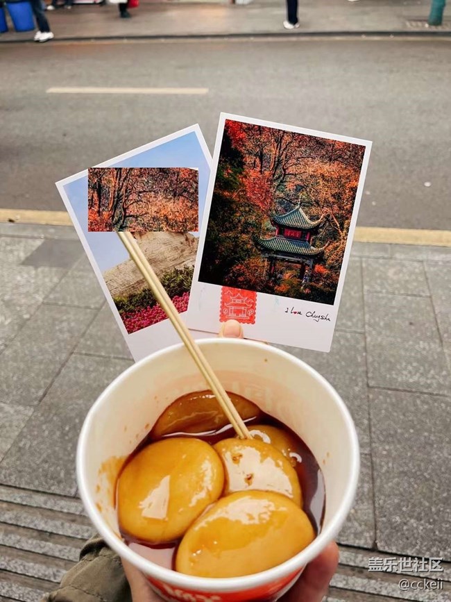 春節(jié)奔赴哪里