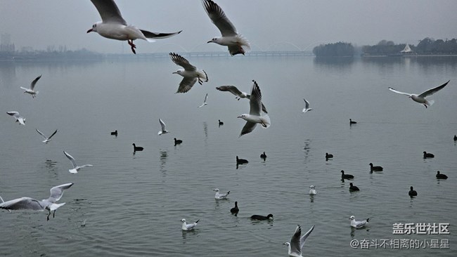 我和海鷗有個約會