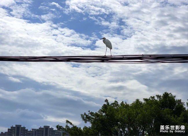 精品大咖秀 第三十期:春節(jié)倒計時 精品大咖秀 第三十期:春節(jié)倒計時