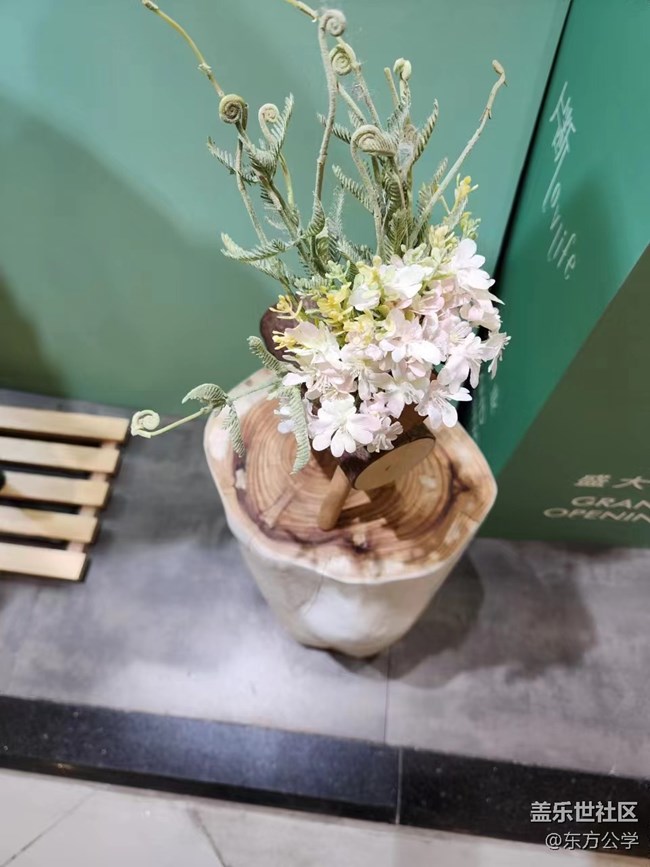 【冬日物語(yǔ)】年味十足的花與少年