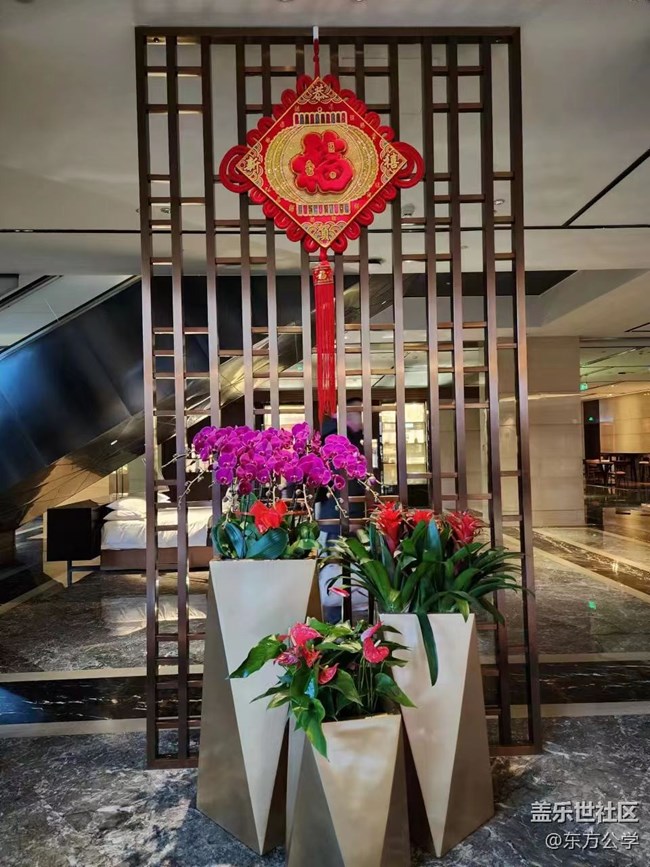 【冬日物語(yǔ)】年味十足的花與少年