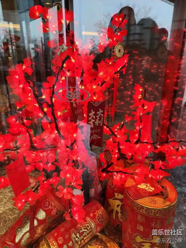 【冬日物語(yǔ)】年味十足的花與少年