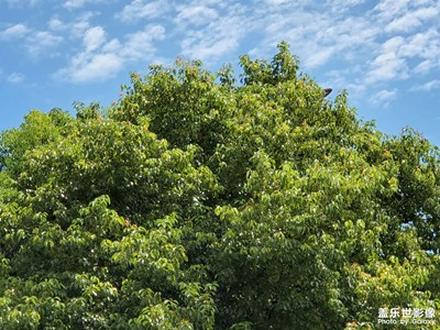 【浮光掠影】+光影之間