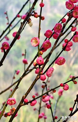 S23Ultra 隨手記錄生活