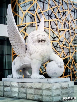 【定格身邊的美】+美好時刻