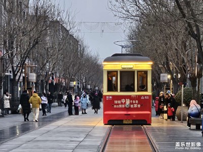 【定格身邊的美】夜里的美