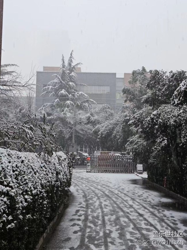 喜歡雪飄在空中，更喜歡雪鋪滿大地????????????????????????