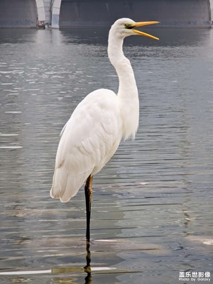 【定格身邊的美】+與美好相遇