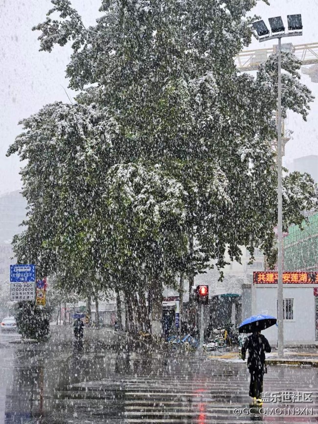 喜歡雪飄在空中，更喜歡雪鋪滿大地????????????????????????