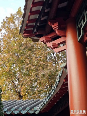 【定格身邊的美】現(xiàn)任機(jī)皇的最后一貼