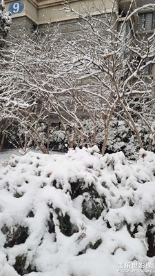 2024新年的第一場(chǎng)雪