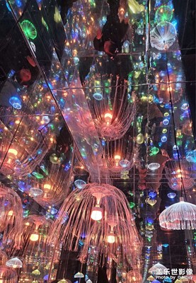 【定格身邊的美】+與美好相遇