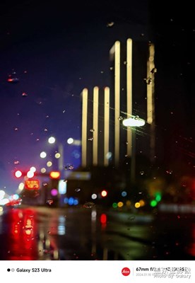 絕絕子，偶拍。