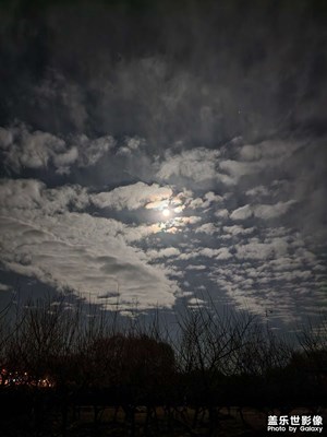 【定格身邊的美】+隨處可見的美好