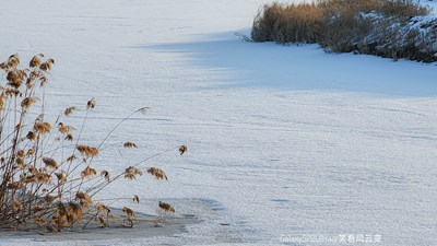 已開獎【蓋樂世影像周賽第328期】—— 生活的寫意