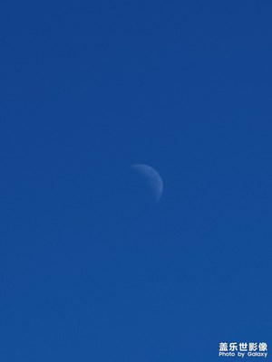 如果風(fēng)景有顏色