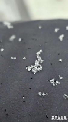 【定格身边的美】+2024年的第一场雪