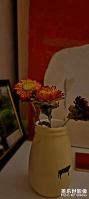 拍出來有油畫感