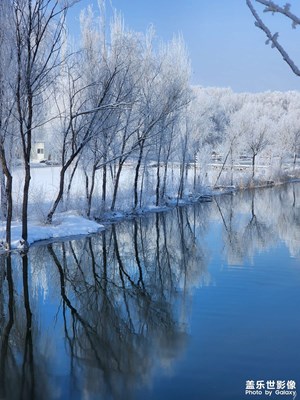 【定格身邊的美】不輸爾濱的新疆霧凇