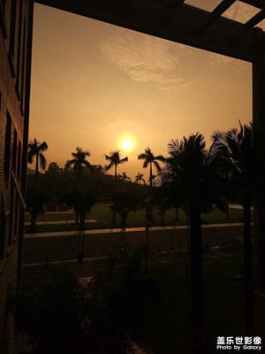 【定格身邊的美】+與美好相遇