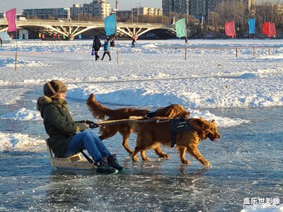 【定格身邊的美】冰上的快樂