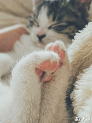 【定格身邊的美】+看著你長大