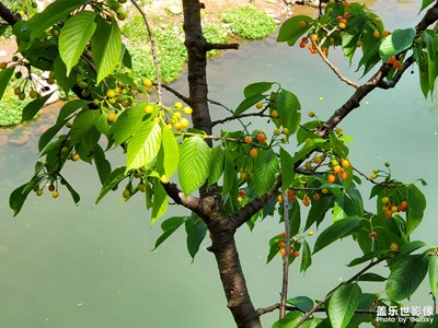 【定格身邊的美】+渾然天成