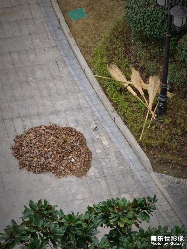 沒有構(gòu)圖，沒有絕妙