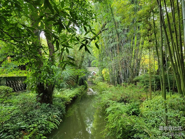 草堂之秋，喧囂的都市中讓人心靜神怡。