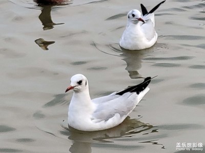 【定格身邊的美】周末city walk