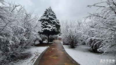 【生活的寫意】+清淺時光